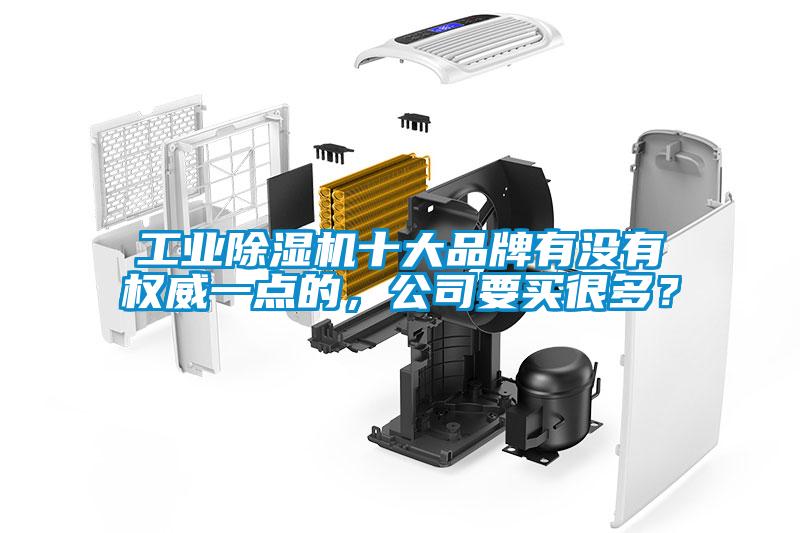 工業(yè)除濕機(jī)十大品牌有沒有權(quán)威一點(diǎn)的，公司要買很多？