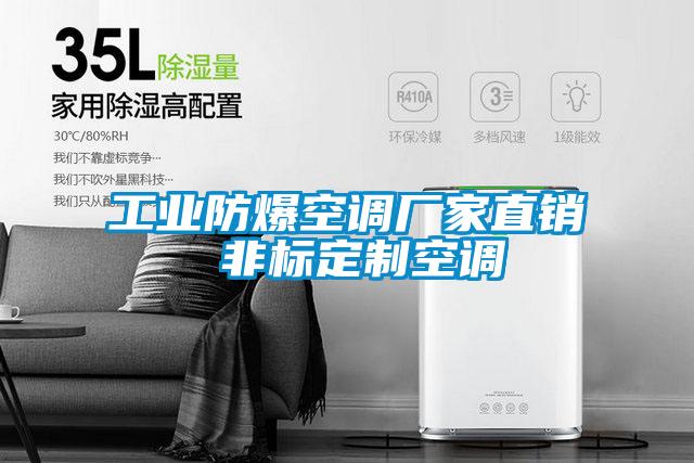 工業(yè)防爆空調(diào)廠家直銷 非標定制空調(diào)