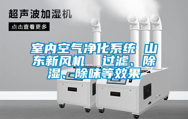 室內(nèi)空氣凈化系統(tǒng) 山東新風機  過濾、除濕、除味等效果