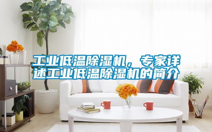 工業(yè)低溫除濕機(jī)，專家詳述工業(yè)低溫除濕機(jī)的簡介