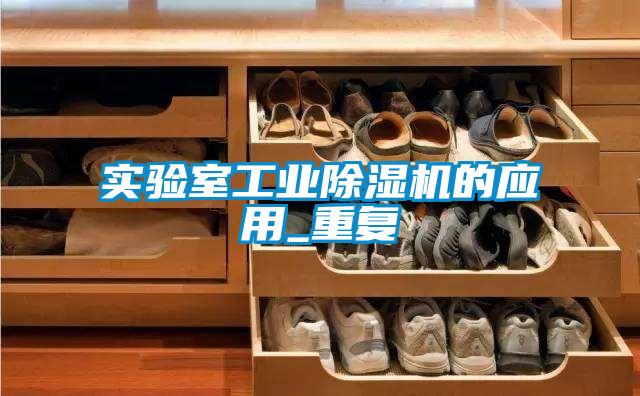 實驗室工業(yè)除濕機的應(yīng)用_重復