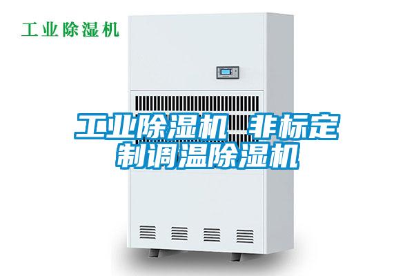 工業(yè)除濕機 非標(biāo)定制調(diào)溫除濕機