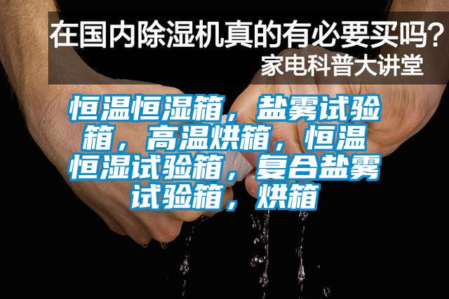 恒溫恒濕箱，鹽霧試驗(yàn)箱，高溫烘箱，恒溫恒濕試驗(yàn)箱，復(fù)合鹽霧試驗(yàn)箱，烘箱