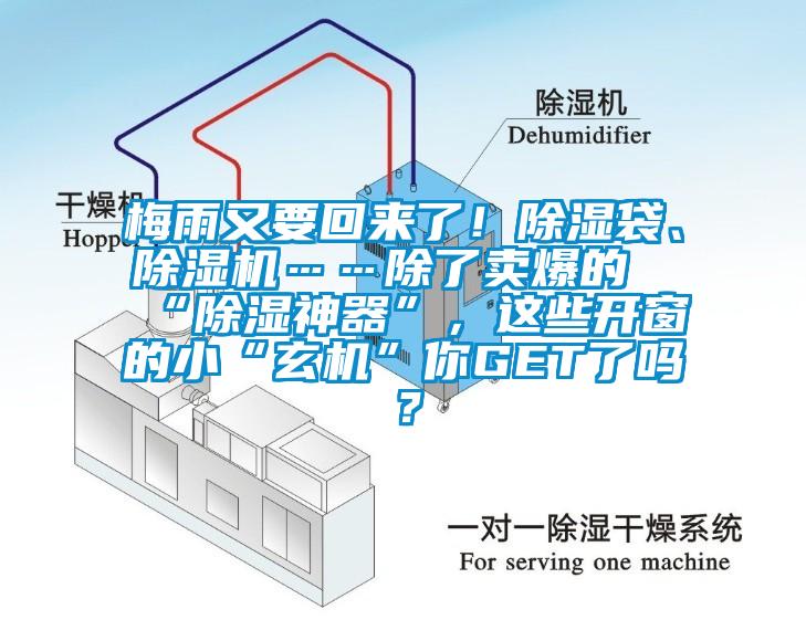 梅雨又要回來(lái)了！除濕袋、除濕機(jī)……除了賣爆的“除濕神器”，這些開(kāi)窗的小“玄機(jī)”你GET了嗎？