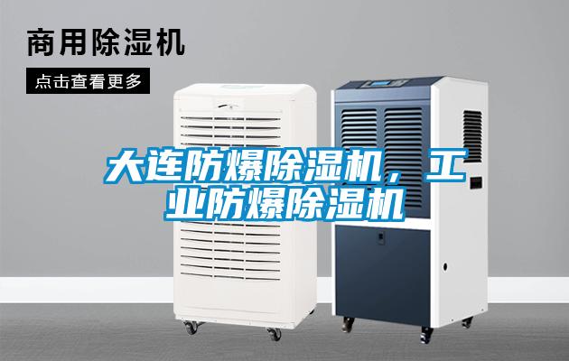 大連防爆除濕機(jī)，工業(yè)防爆除濕機(jī)