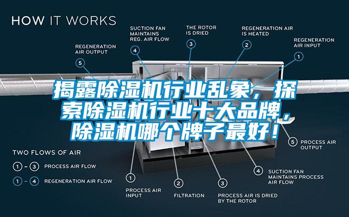 揭露除濕機(jī)行業(yè)亂象，探索除濕機(jī)行業(yè)十大品牌，除濕機(jī)哪個(gè)牌子最好！