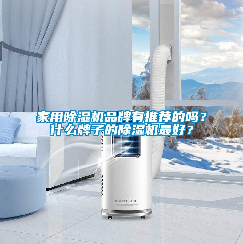 家用除濕機品牌有推薦的嗎？什么牌子的除濕機最好？