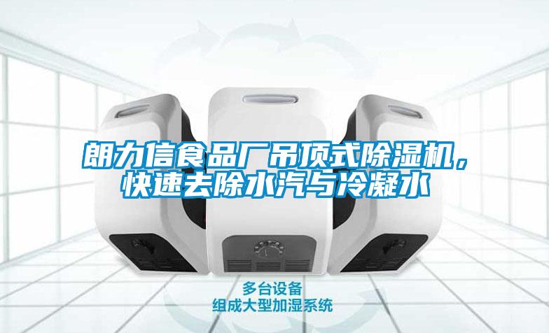朗力信食品廠吊頂式除濕機(jī)，快速去除水汽與冷凝水