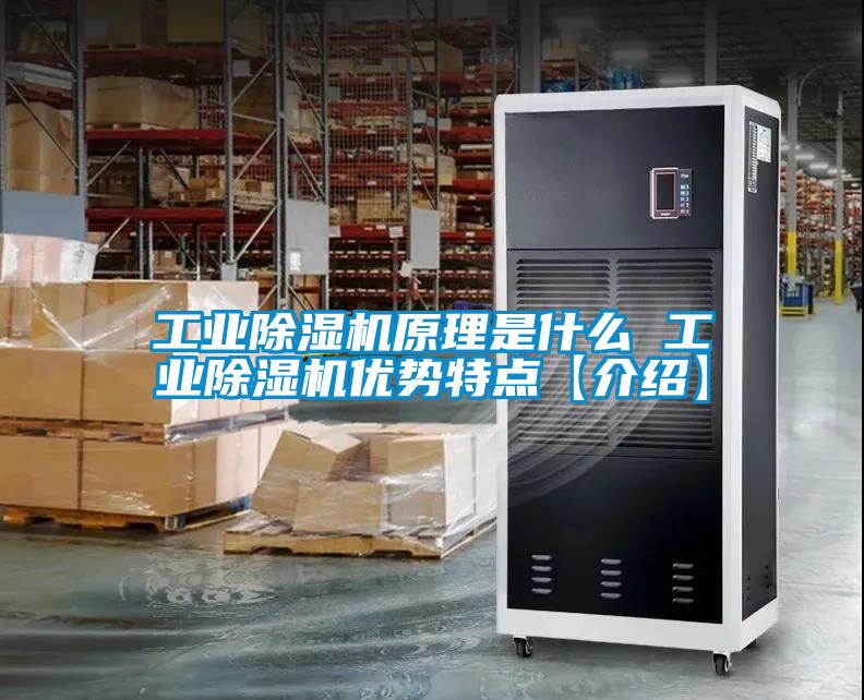 工業(yè)除濕機(jī)原理是什么 工業(yè)除濕機(jī)優(yōu)勢特點【介紹】