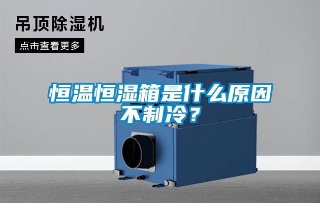恒溫恒濕箱是什么原因不制冷？
