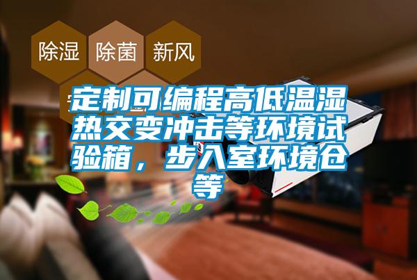 定制可編程高低溫濕熱交變沖擊等環(huán)境試驗(yàn)箱，步入室環(huán)境倉等