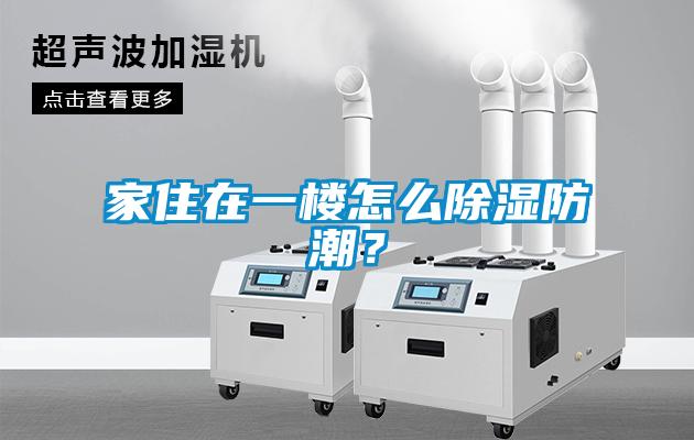 家住在一樓怎么除濕防潮？
