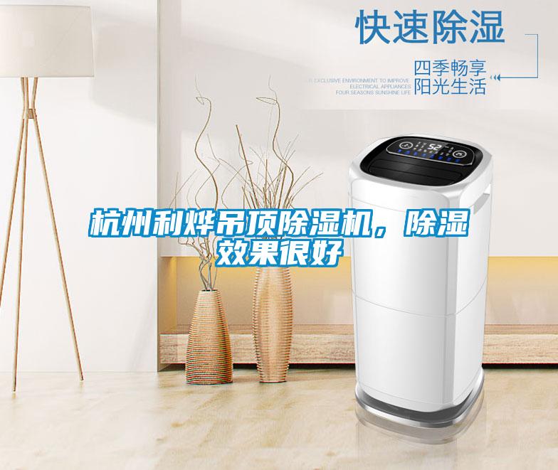 杭州利燁吊頂除濕機(jī)，除濕效果很好
