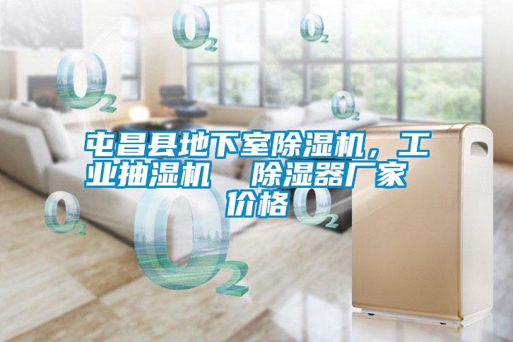 屯昌縣地下室除濕機(jī)，工業(yè)抽濕機(jī)  除濕器廠家 價(jià)格