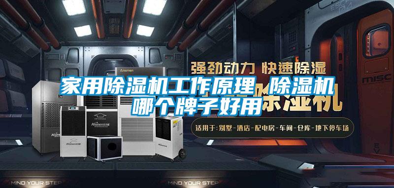 家用除濕機(jī)工作原理 除濕機(jī)哪個牌子好用