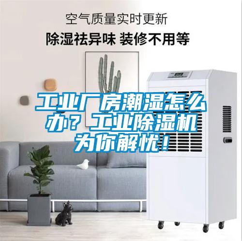 工業(yè)廠房潮濕怎么辦？工業(yè)除濕機(jī)為你解憂！