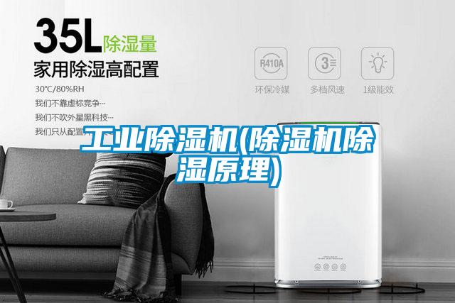 工業(yè)除濕機(除濕機除濕原理)