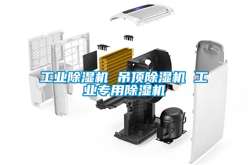 工業(yè)除濕機 吊頂除濕機 工業(yè)專用除濕機