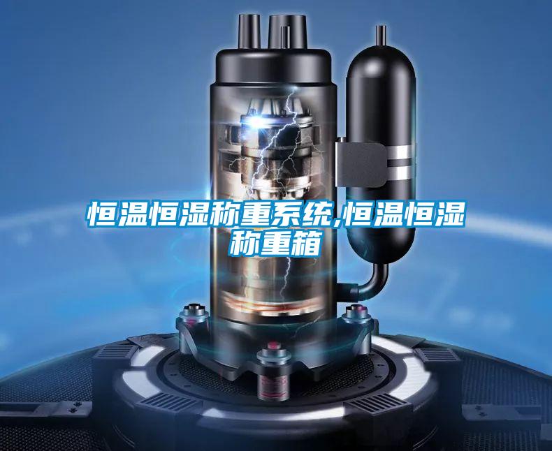 恒溫恒濕稱(chēng)重系統(tǒng),恒溫恒濕稱(chēng)重箱