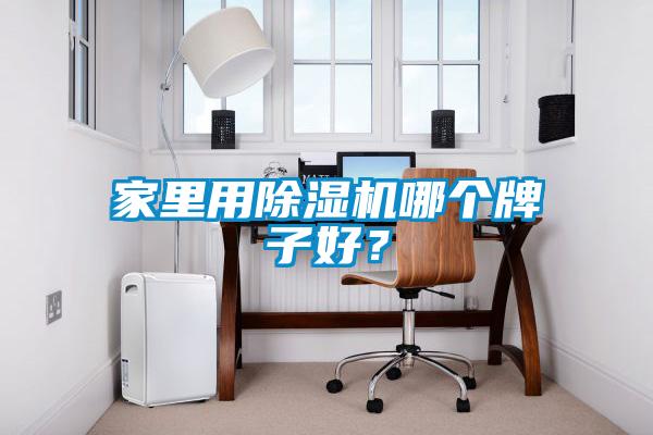 家里用除濕機哪個牌子好？