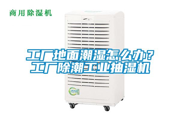 工廠地面潮濕怎么辦？工廠除潮工業(yè)抽濕機(jī)