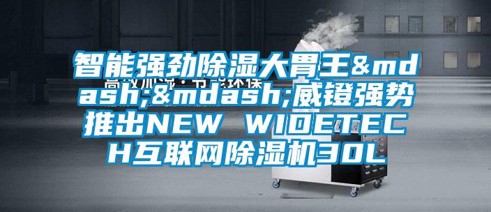 智能強(qiáng)勁除濕大胃王——威鐙強(qiáng)勢推出NEW WIDETECH互聯(lián)網(wǎng)除濕機(jī)30L