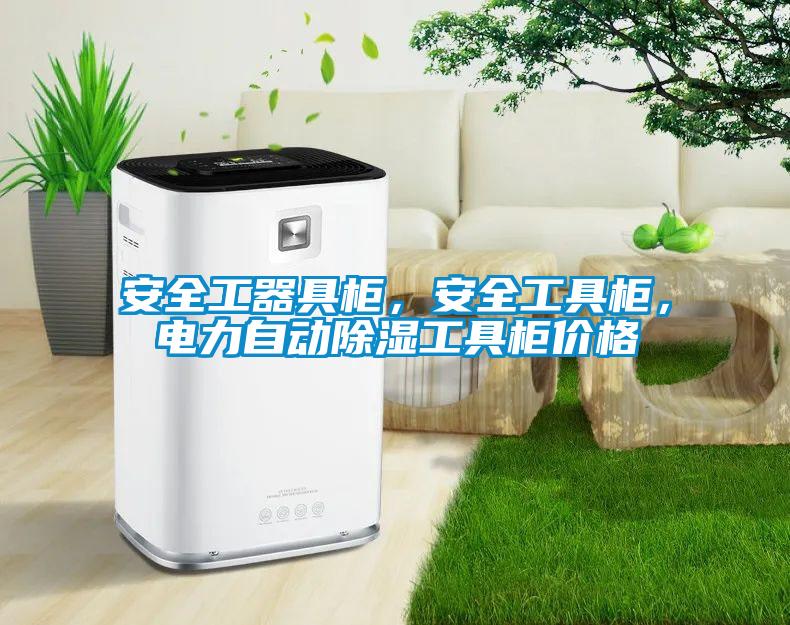 安全工器具柜，安全工具柜，電力自動(dòng)除濕工具柜價(jià)格