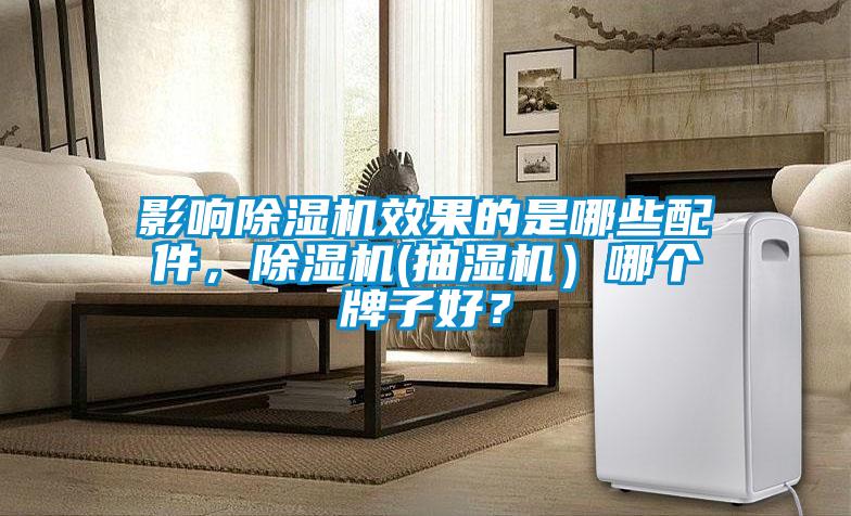 影響除濕機效果的是哪些配件，除濕機(抽濕機）哪個牌子好？