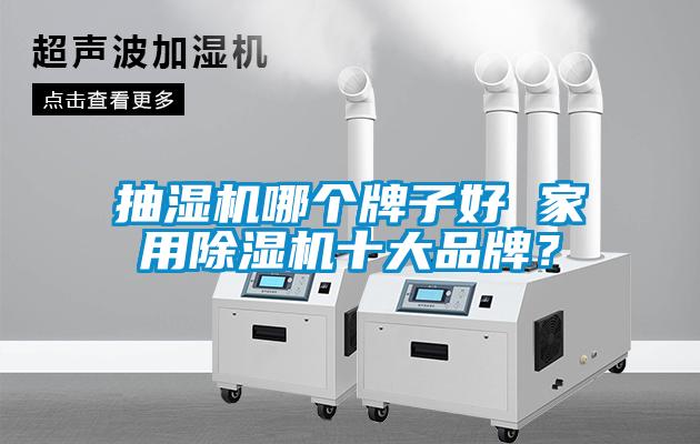 抽濕機(jī)哪個(gè)牌子好 家用除濕機(jī)十大品牌？