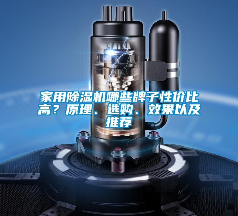 家用除濕機(jī)哪些牌子性價(jià)比高？原理、選購(gòu)、效果以及推薦