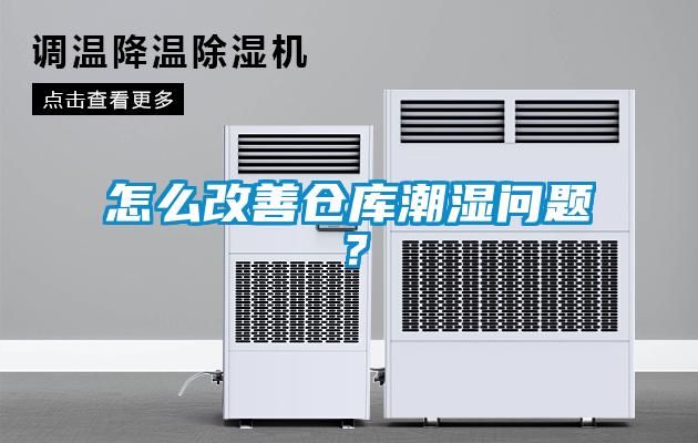 怎么改善倉庫潮濕問題？