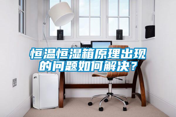 恒溫恒濕箱原理出現(xiàn)的問(wèn)題如何解決？