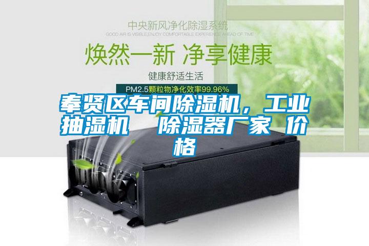 奉賢區(qū)車(chē)間除濕機(jī)，工業(yè)抽濕機(jī)  除濕器廠家 價(jià)格