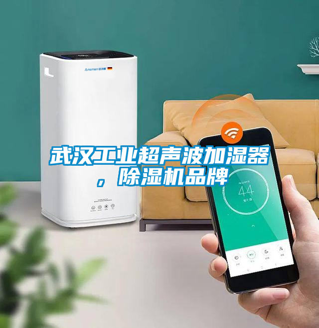 武漢工業(yè)超聲波加濕器，除濕機(jī)品牌