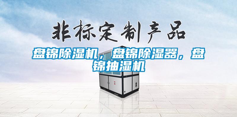盤錦除濕機，盤錦除濕器，盤錦抽濕機