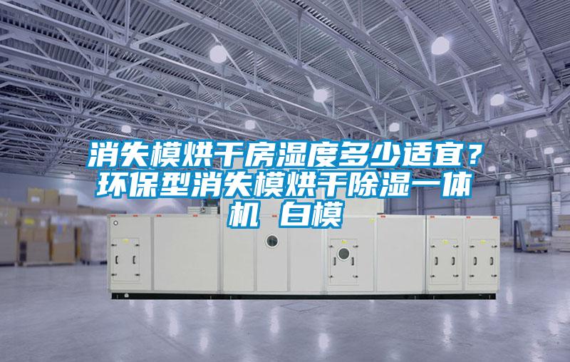 消失模烘干房濕度多少適宜？環(huán)保型消失模烘干除濕一體機(jī) 白模