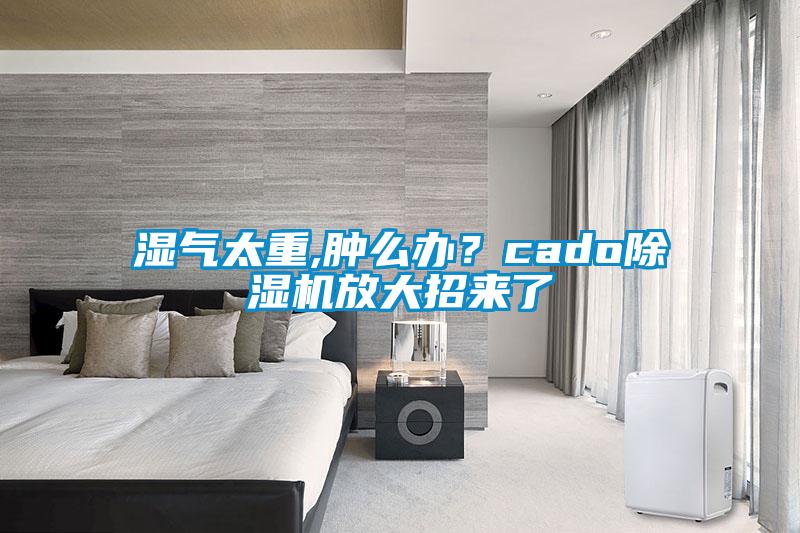 濕氣太重,腫么辦？cado除濕機(jī)放大招來了
