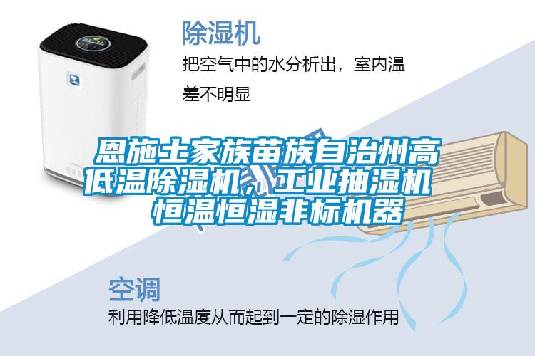 恩施土家族苗族自治州高低溫除濕機(jī)，工業(yè)抽濕機(jī)  恒溫恒濕非標(biāo)機(jī)器