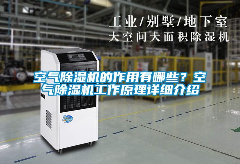 空氣除濕機的作用有哪些？空氣除濕機工作原理詳細介紹