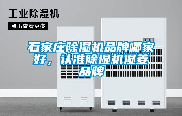 石家莊除濕機(jī)品牌哪家好，認(rèn)準(zhǔn)除濕機(jī)濕菱品牌