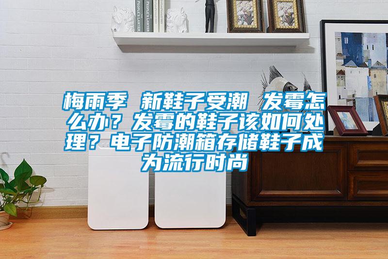 梅雨季 新鞋子受潮 發(fā)霉怎么辦？發(fā)霉的鞋子該如何處理？電子防潮箱存儲鞋子成為流行時尚