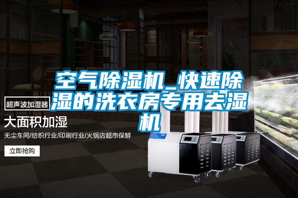 空氣除濕機(jī)_快速除濕的洗衣房專(zhuān)用去濕機(jī)