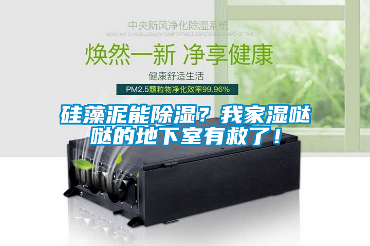 硅藻泥能除濕？我家濕噠噠的地下室有救了！