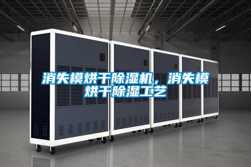 消失模烘干除濕機(jī)，消失模烘干除濕工藝