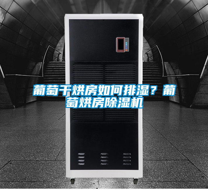 葡萄干烘房如何排濕？葡萄烘房除濕機(jī)