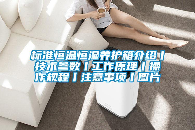 標準恒溫恒濕養(yǎng)護箱介紹丨技術(shù)參數(shù)丨工作原理丨操作規(guī)程丨注意事項丨圖片
