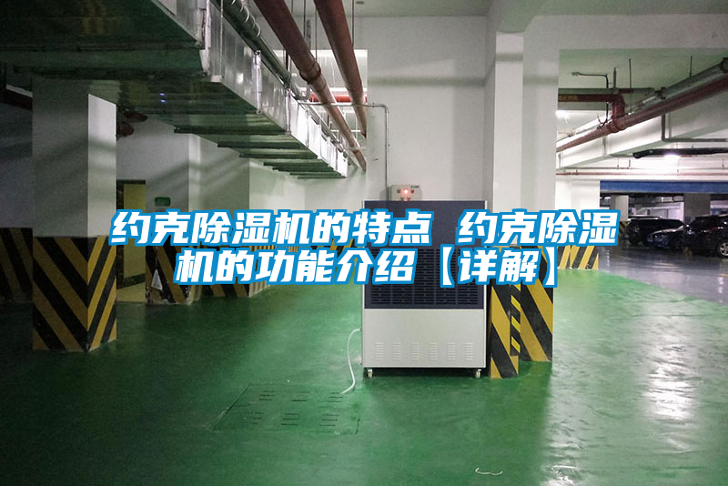 約克除濕機(jī)的特點 約克除濕機(jī)的功能介紹【詳解】