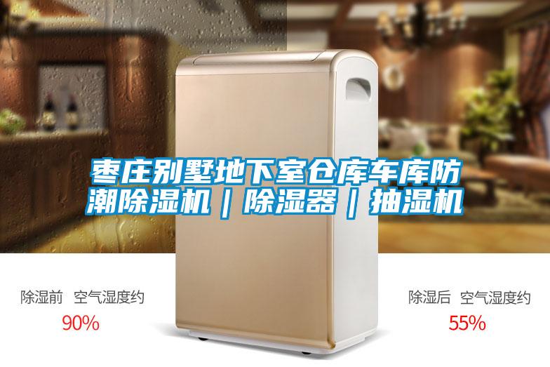 棗莊別墅地下室倉庫車庫防潮除濕機(jī)｜除濕器｜抽濕機(jī)