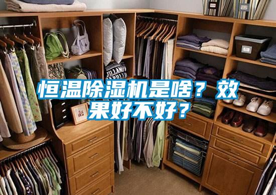 恒溫除濕機是啥？效果好不好？