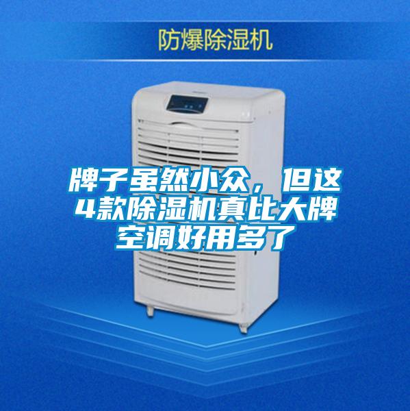 牌子雖然小眾，但這4款除濕機(jī)真比大牌空調(diào)好用多了